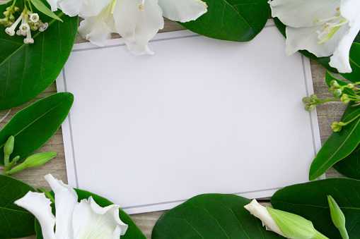 A blank card with a silver border surrounded by fresh white flowers and leaves. \nCopy space in the middle of the card.