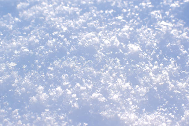 istock Snow texture. Snow-covered land. Soft focus. 1303216182