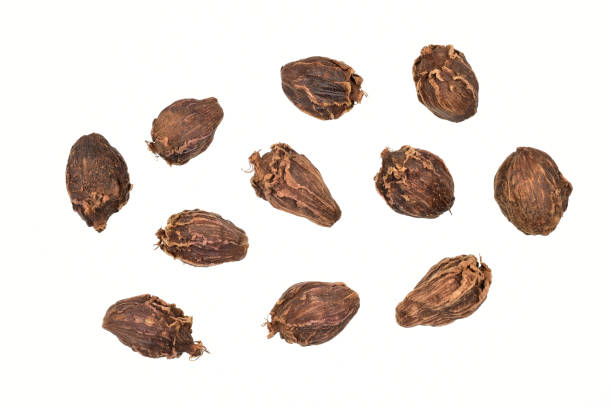 istock Amomum pods isolated on white background with clipping path 1303216930
