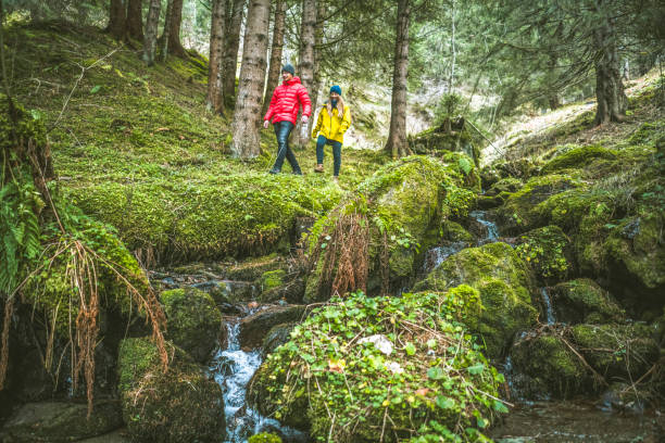 istock Young couple of hikers explore mossy forest floor 1303218028