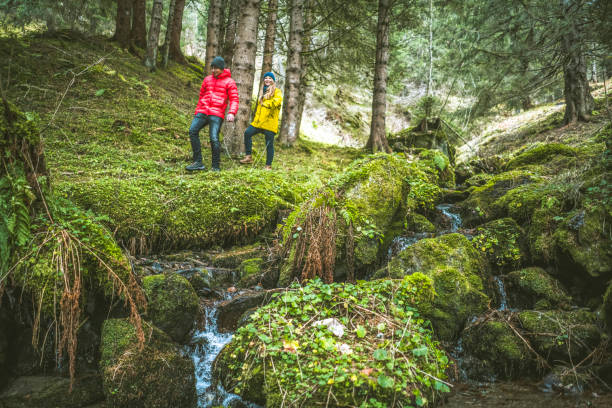 istock Young couple of hikers explore mossy forest floor 1303218091