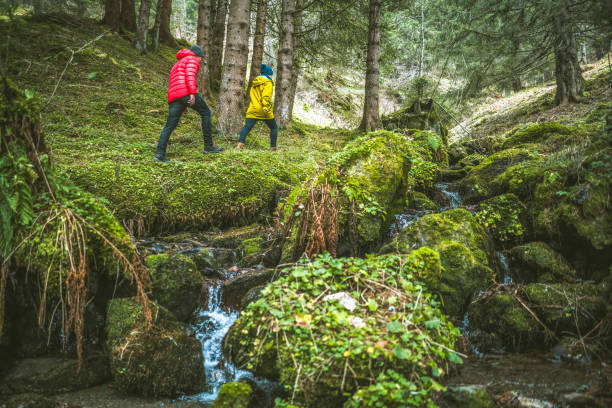istock Young couple of hikers explore mossy forest floor 1303218124