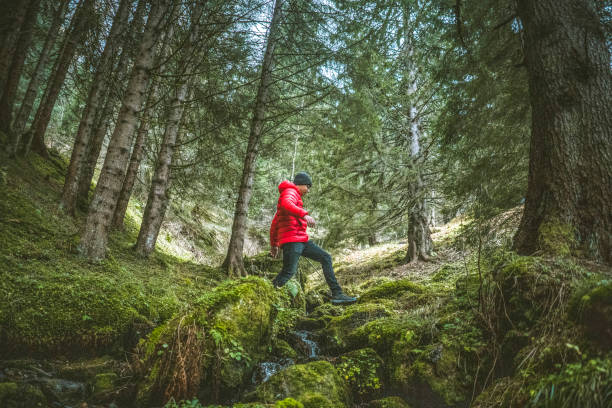 Young man steps across stream on lush forest floor