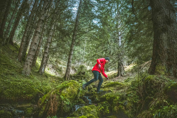 istock Young man steps across stream on lush forest floor 1303218178