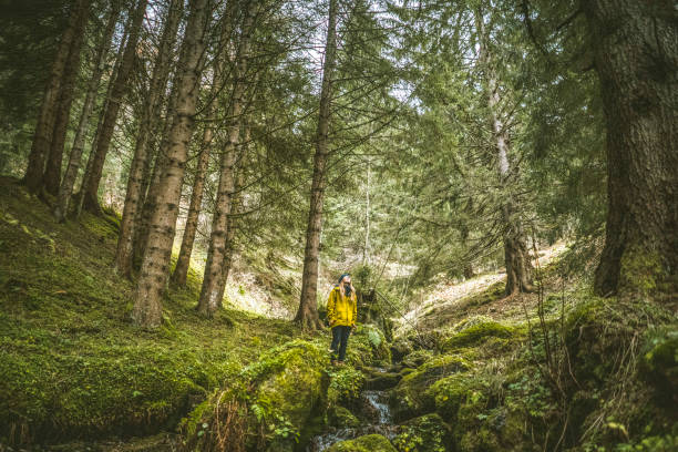 istock Young woman pauses on lush forest floor beside stream 1303218193