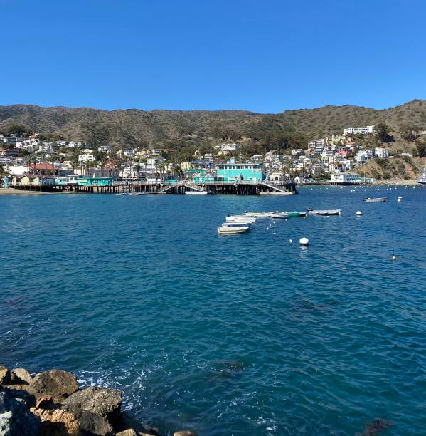 istock Catalina Island 1303218779
