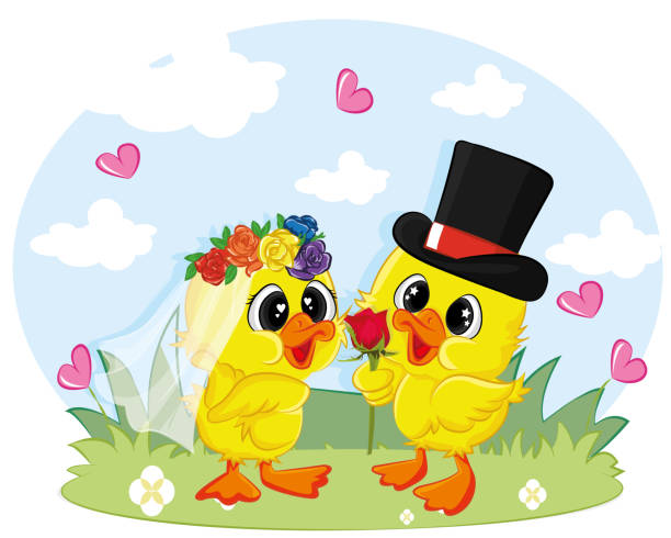 Duck marriage between two whole dressed ducks. Graphic element for valentine card. Duck marriage between two whole dressed ducks. Graphic element for valentine card. valentinstag stock illustrations