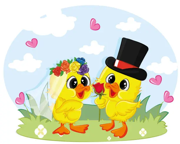 Vector illustration of Duck marriage between two whole dressed ducks. Graphic element for valentine card.