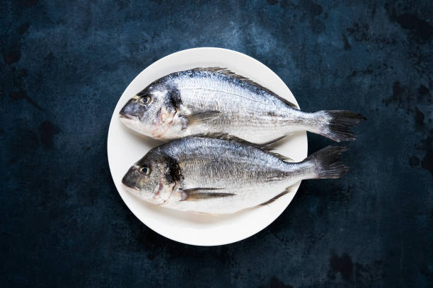 istock Raw dorado fish on white plate on dark blue background. Top view, copy space 1303222561