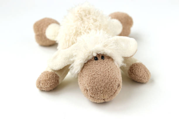 Plush Teddy Bear