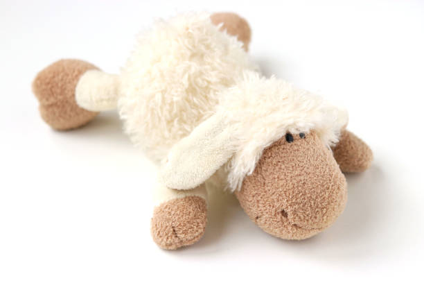 istock Soft toy sheep isolated on white background 1303223734