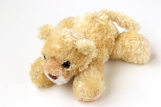 istock Soft toy bear is located on a white background 1303224571