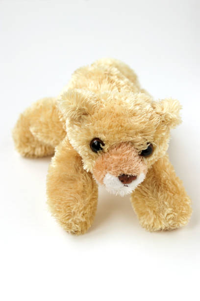 Soft toy bear is located on a white background
