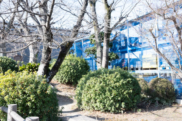 istock Ano Ichiri-duka (milestone) on Tokaido Road 1303228738