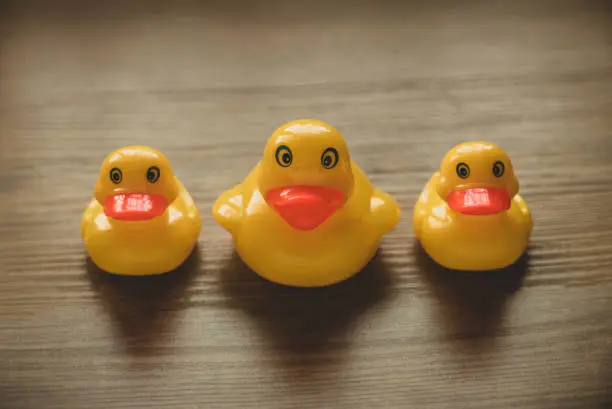 Photo of Concept of leader and follower. Selective focus of a small toy duck and big duck in a row on wooden background.