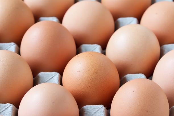istock Fresh Farm Eggs On Cardboard Tray 1303237998