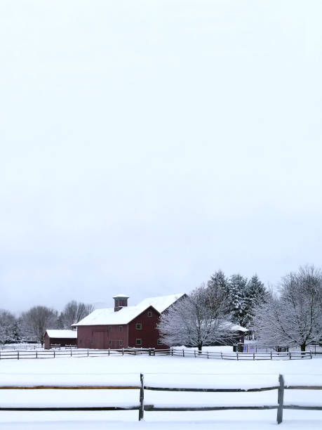 istock farm house with big sky over it. Wintry landscape, Copy space 1303244321