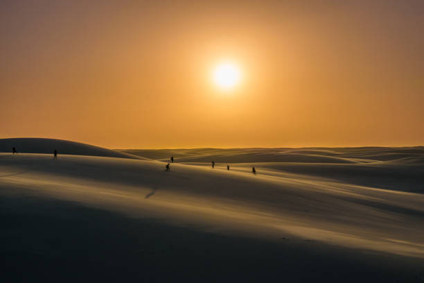 An immensity of white and fine sand dunes marks the paradisiacal path traveled by tourists in the midst of freshwater lagoons of turquoise and emerald blue, this is the Lencois Maranhenses National Park. Located in the Maranhao State in Brazilian northeastern the Lencois Maranhenses are considered the largest dunes field in South America, occupying an area of thousand hectares. With a rare geological formation on the planet its dunes up to 40 meters high formed by the action of the winds arrive from the coast entering 25 km of the Brazilian coastline. Traveled stock pictures, royalty-free photos & images