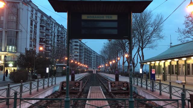 Young Woman Walking with Dog on Railway Station Platform in Budapest City at Night