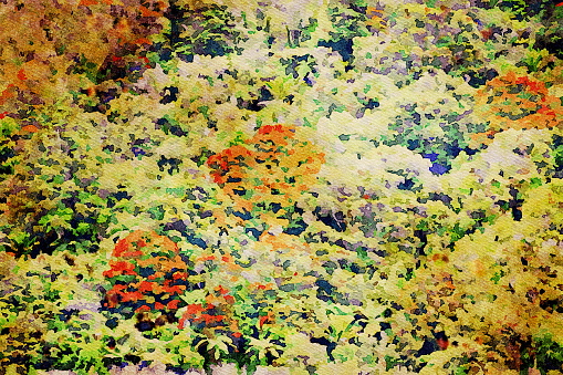 This is my Photographic Image of a Subtropical Rainforest in Watercolour Effect. Because sometimes you might want a more illustrative image for an organic look.
