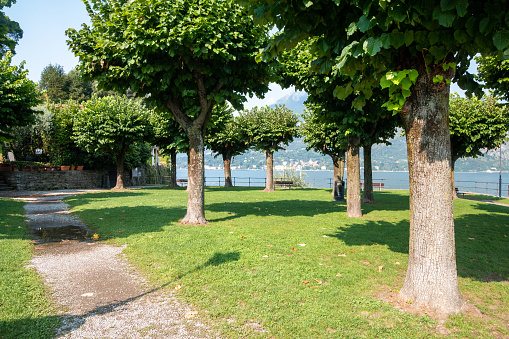 Public Park in Bellagio on Lake Como, Italy