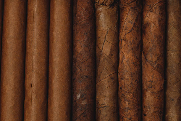 istock Background of stacked rolled cigars close up 1303259065