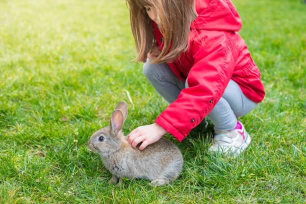 Child cuddling bunny in green grass, with copy space. stock photo