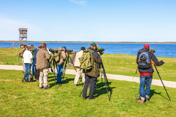 Hornborgasjön, Sweden - April 28, 2015:  Bird watchers with binoculars by a lake