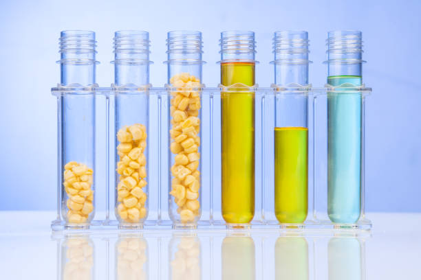 istock Ethanol biofuel derived from corn maze with test tubes in laboratory 1303278782