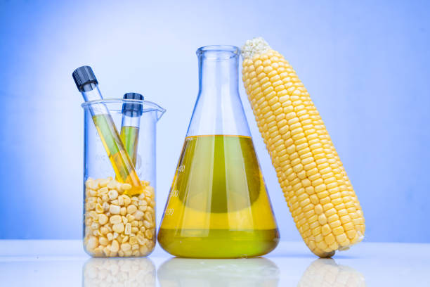 istock Ethanol biofuel derived from corn maze with beaker test tubes in laboratory on blue background 1303278802