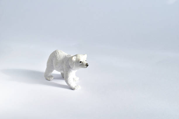 Polar bear. Toy for children. Small in size, white with a black nose. Taken from the side. Isolate.