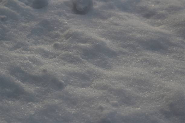 istock close up of snow in the evening 1303283729