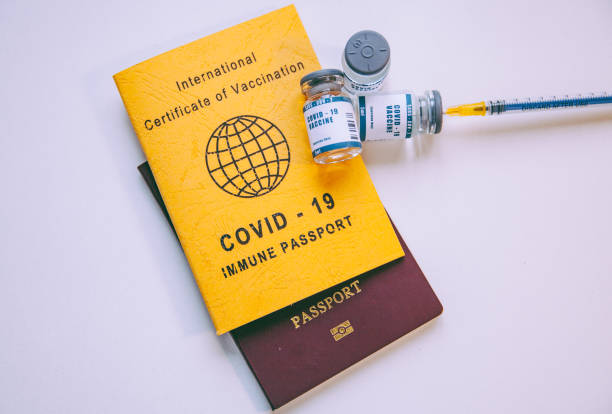 istock International Certificate of Covid-19 Vaccination 1303285976