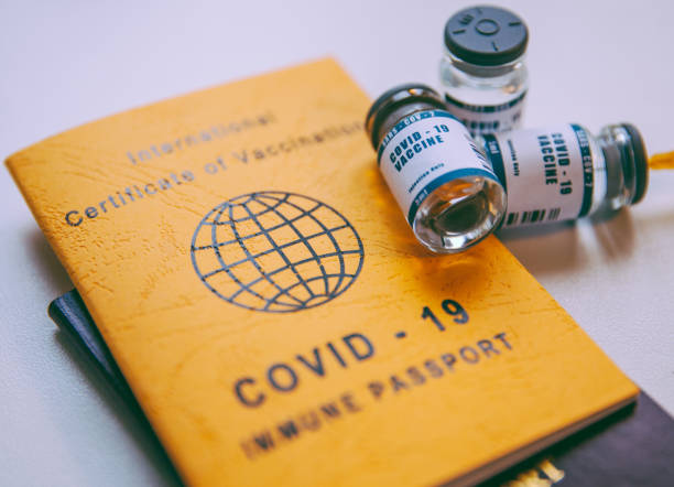 istock International Certificate of Covid-19 Vaccination 1303285989