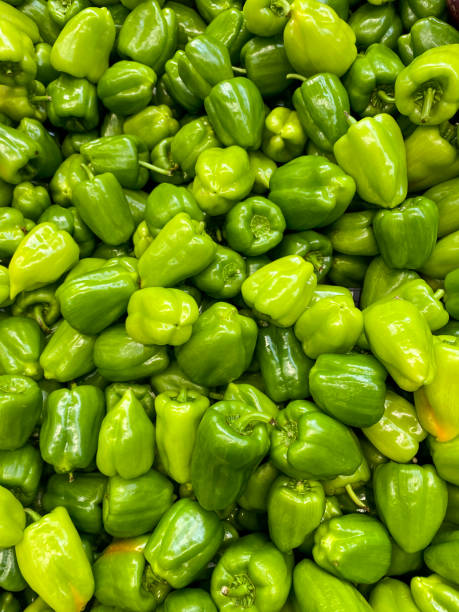 pimentões verdes orgânicos frescos na barraca do mercado público - pepper bell pepper market spice - fotografias e filmes do acervo