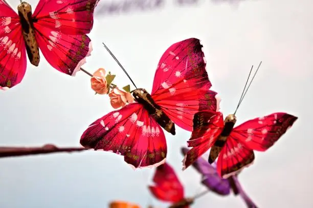 red butterfly