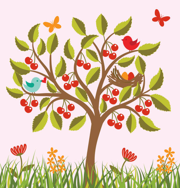 Cherry Tree Design Vector 6,800+ Cherries On Tree Stock Illustrations, Royalty-Free Vector ...