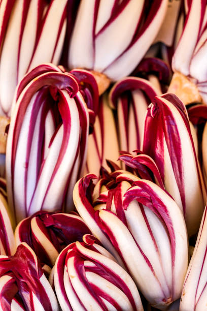 Fresh chicory on marketplace. Shallow DOF, selective focus.