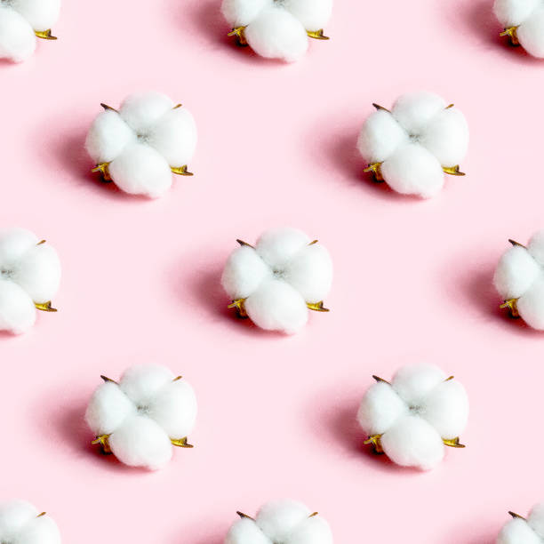 istock White dry cotton flowers seamless pattern on light pink background 1303297560