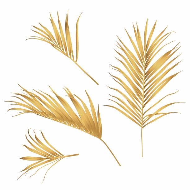 istock Hand drawn  tropical summer design element: golden palm tree leaves, line art. 1303297612