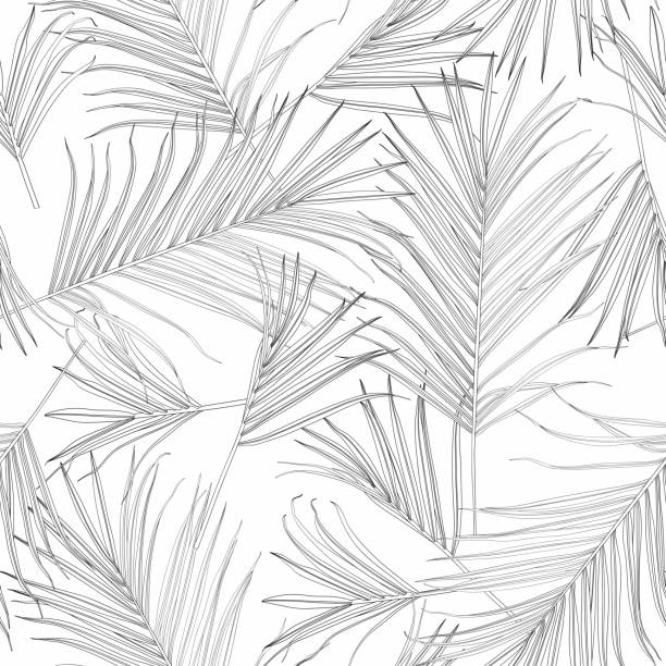 illustrations, cliparts, dessins animés et icônes de nature modèle sans couture. fond tropical dessiné à la main d’été : feuilles blanches noires de palmier, fond d’art de ligne. - palm tree leaf tree frond