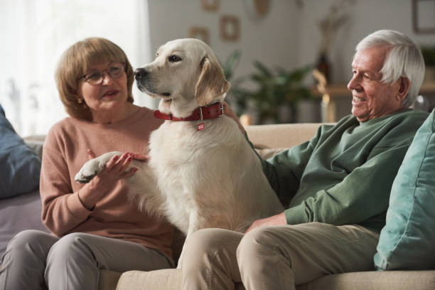 istock Senior couple with dog at home 1303297898