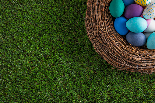 Hand painted easter eggs in bird’s nest on green grass background