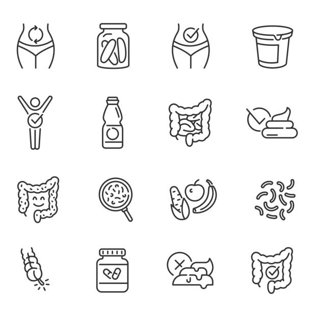 ilustraciones, imágenes clip art, dibujos animados e iconos de stock de probióticos, suplementos dietéticos iconos de línea delgada conjunto aislado en blanco. prebióticos, digestión saludable. - healthy eating red colors healthcare and medicine