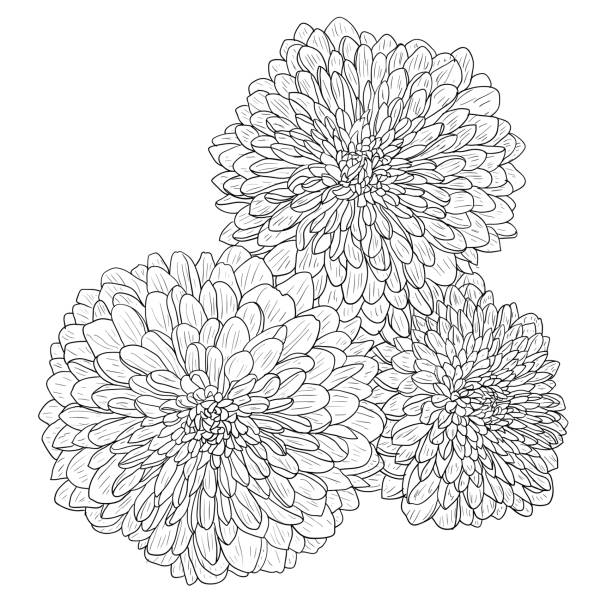 Beautiful sketch flower on white background vector art illustration
