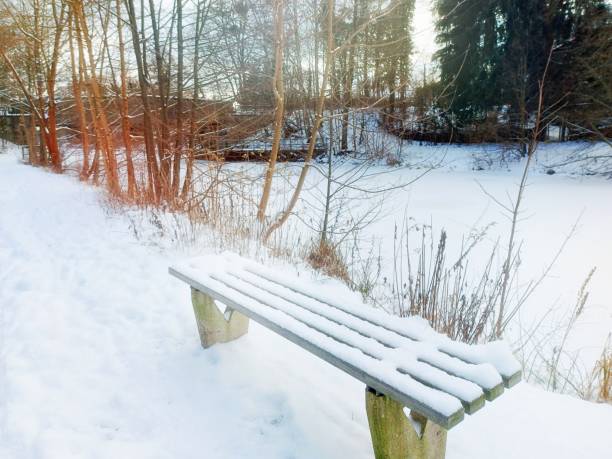 Idyll in winter on the canal