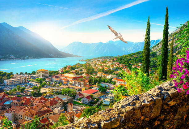 zatoka boka kotor - montenegro kotor bay fjord town zdjęcia i obrazy z banku zdjęć