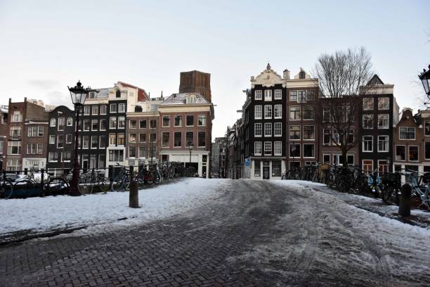 amsterdam, zimowa burza śnieżna, dzielnica mieszkalna, ludzie spacery sceny w holandii - street snow urban scene residential district zdjęcia i obrazy z banku zdjęć