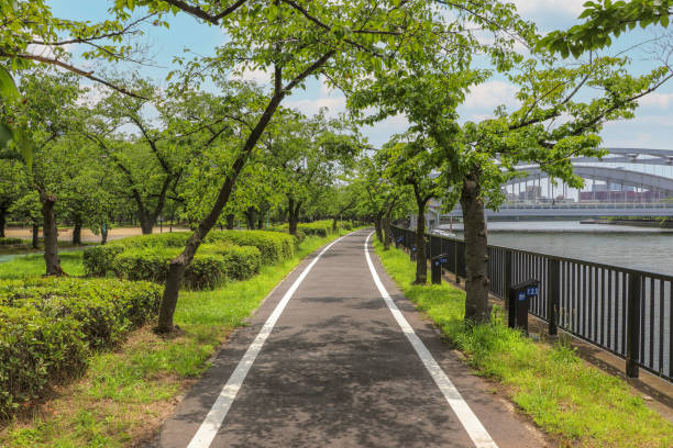 istock Promenade with trees along Okawa River in Osaka 1303309092