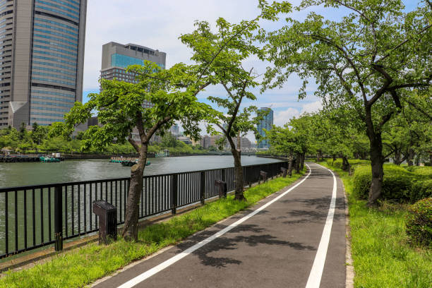 istock Cycling road along Okawa River in Osaka 1303309112